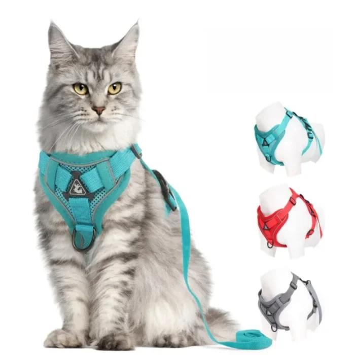 Cat Collar Harness Lead